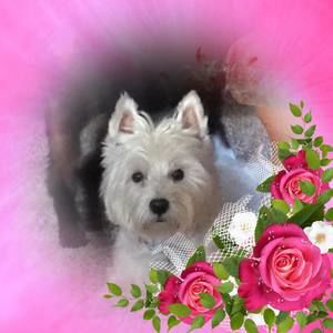 Meet your Posher, Cathy